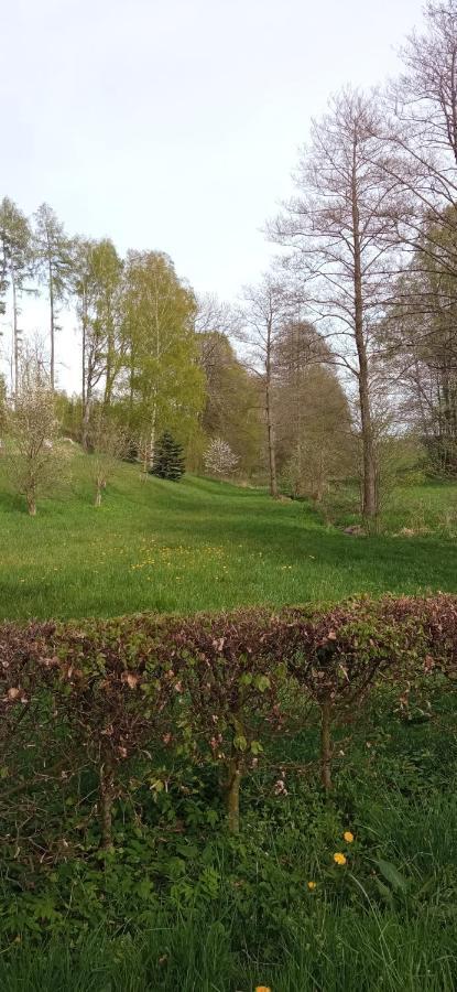 Chalupa Jahudka Kunžak Buitenkant foto